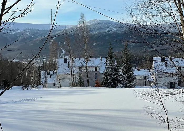 Apartament Widokówka - 9